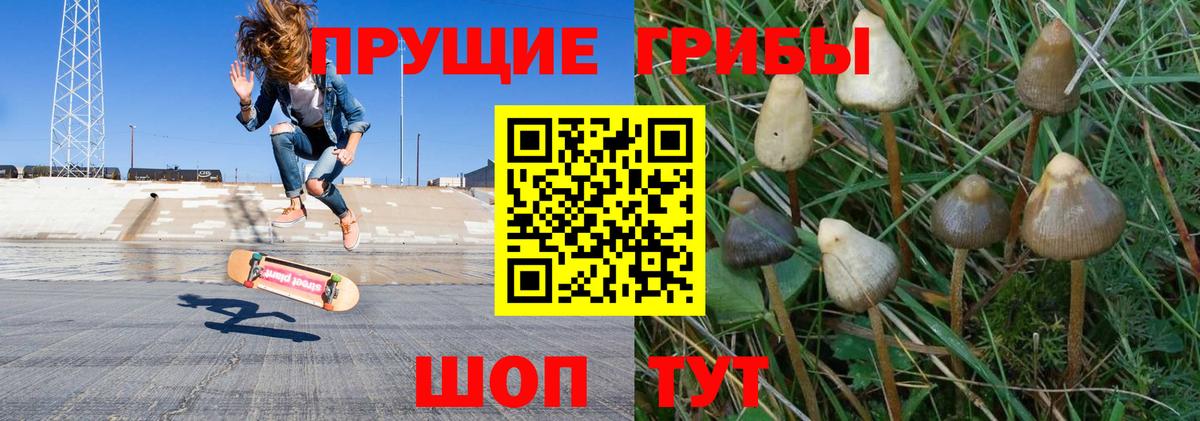 Псилоцибиновые грибы мухоморы  Вход с VPN  Нерюнгри 